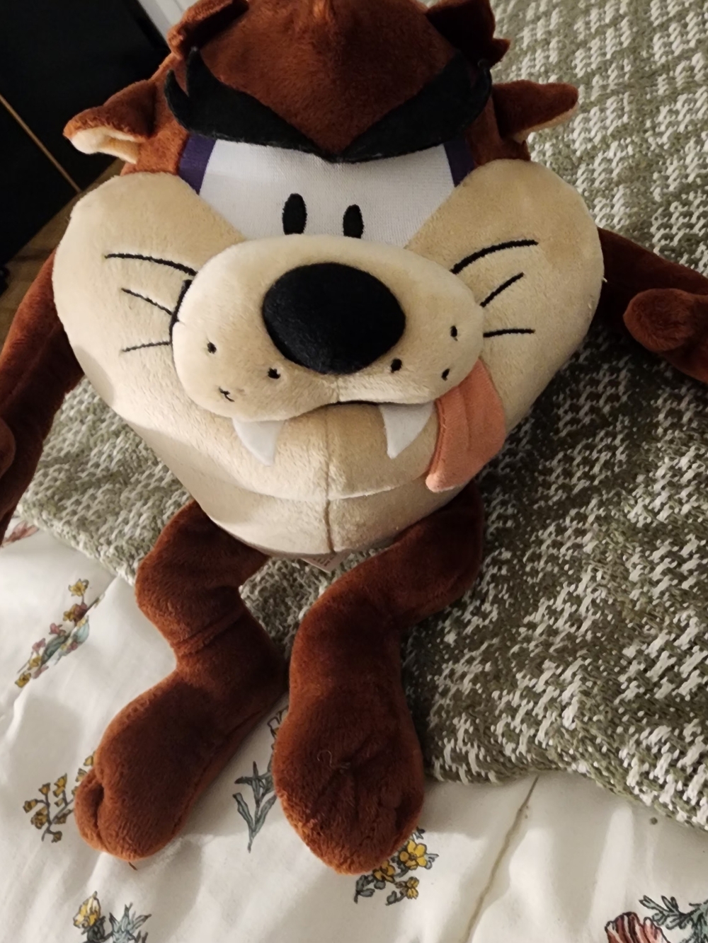 Looney Tunes Taz Plush Toy